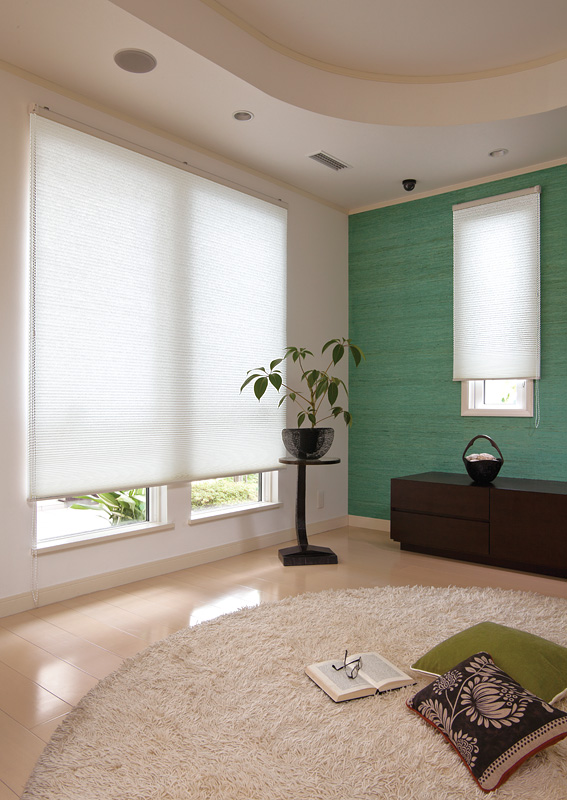 Honeycomb Blinds